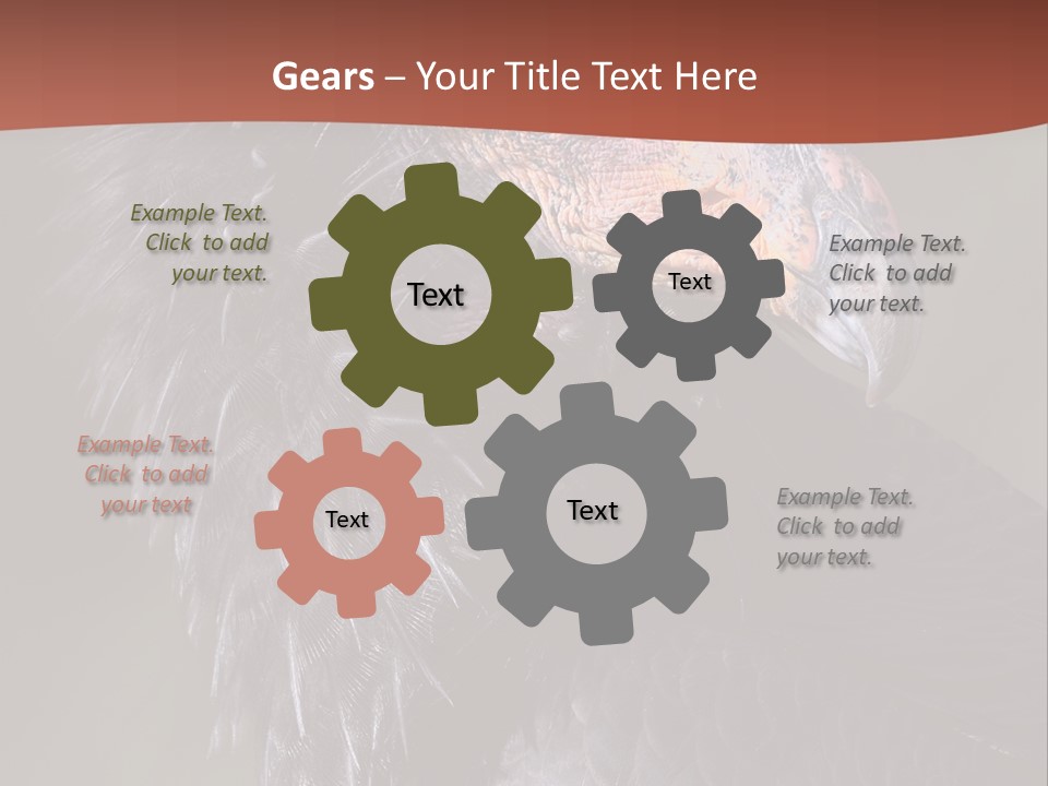 Juvenile California Condor PowerPoint Template