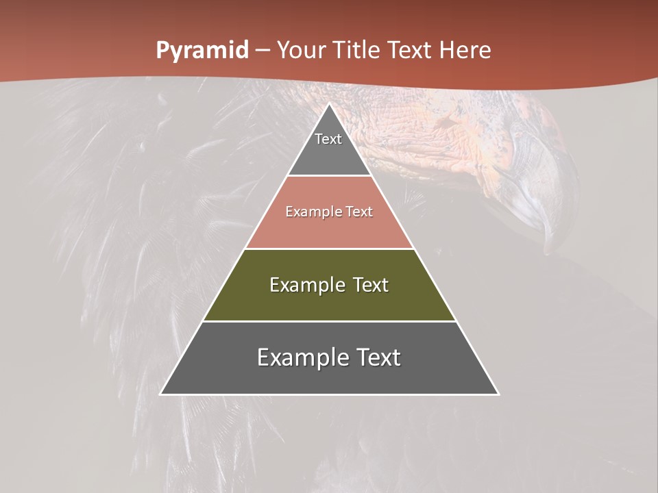 Juvenile California Condor PowerPoint Template