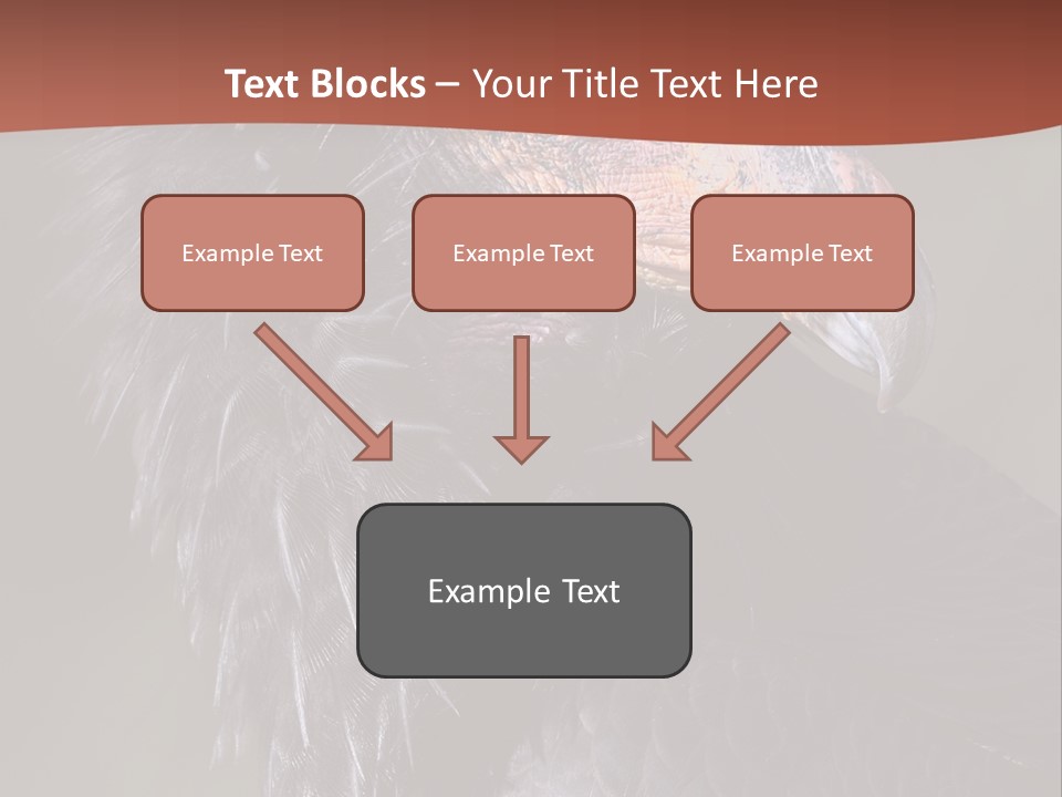 Juvenile California Condor PowerPoint Template