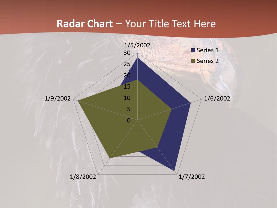 Juvenile California Condor PowerPoint Template