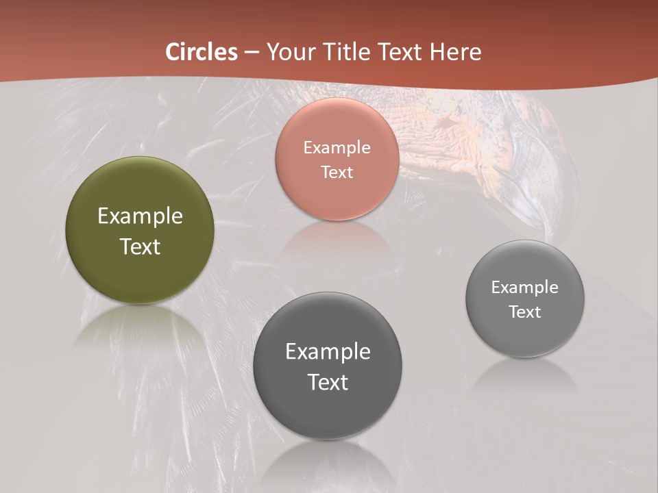 Juvenile California Condor PowerPoint Template