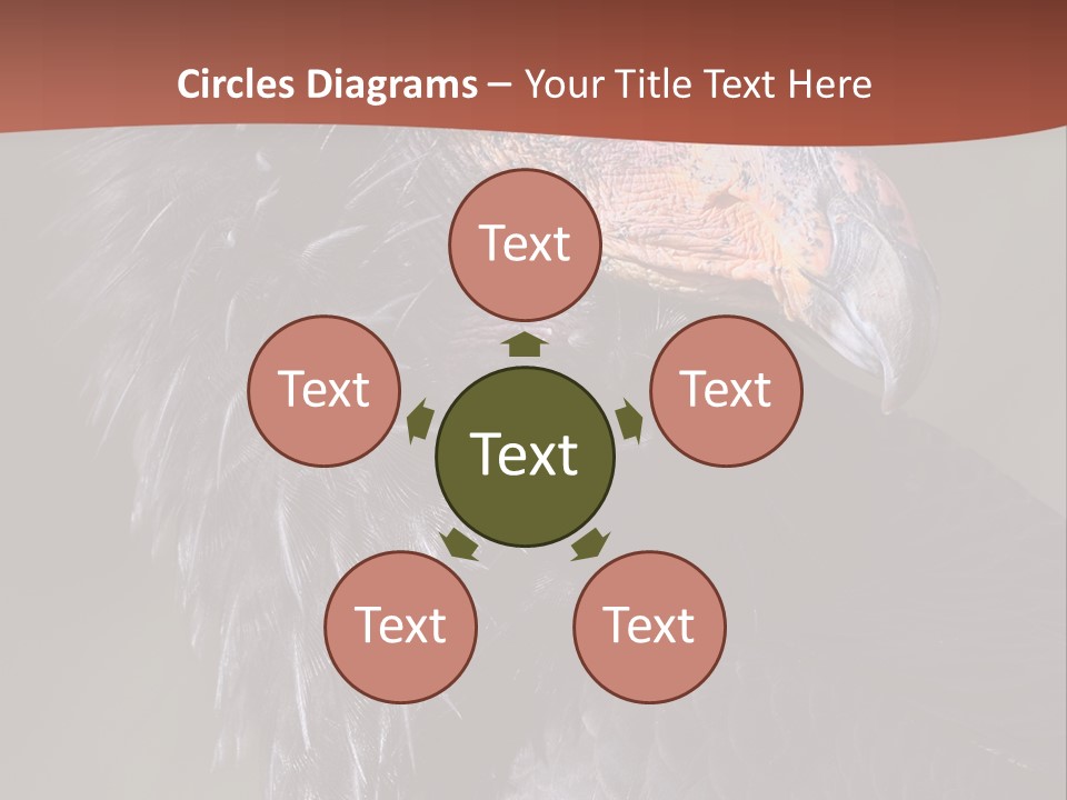 Juvenile California Condor PowerPoint Template