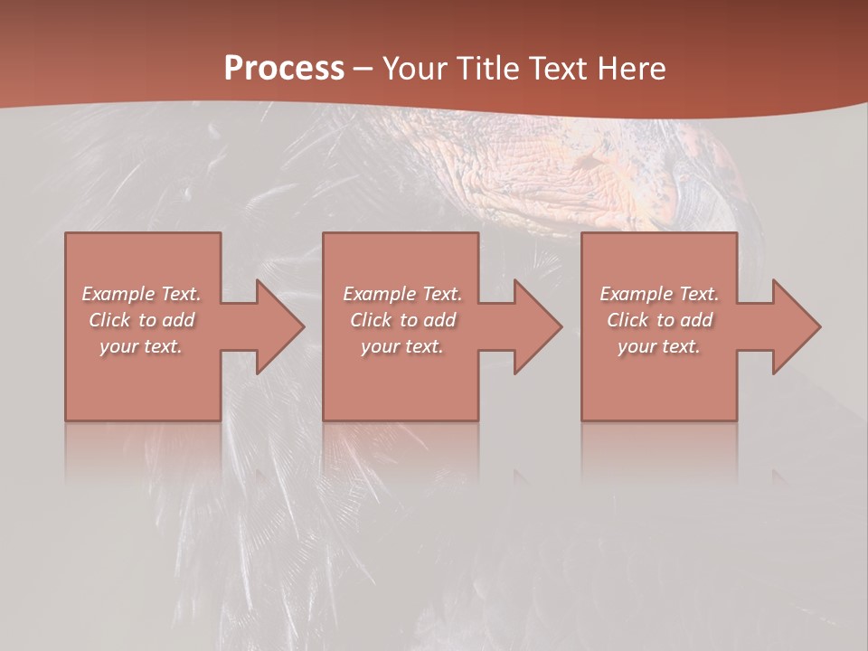 Juvenile California Condor PowerPoint Template