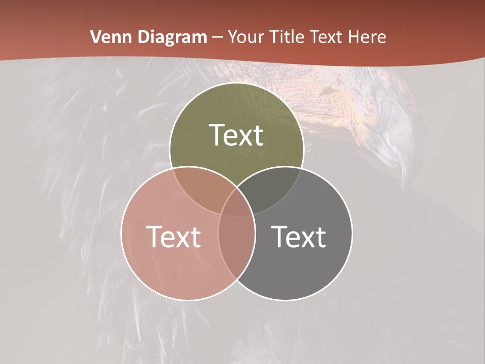 Juvenile California Condor PowerPoint Template