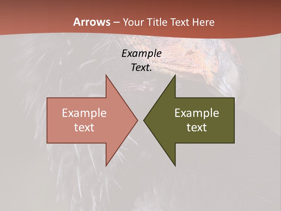 Juvenile California Condor PowerPoint Template
