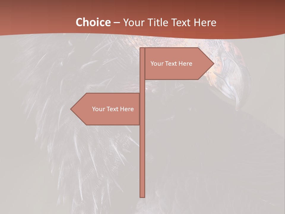 Juvenile California Condor PowerPoint Template