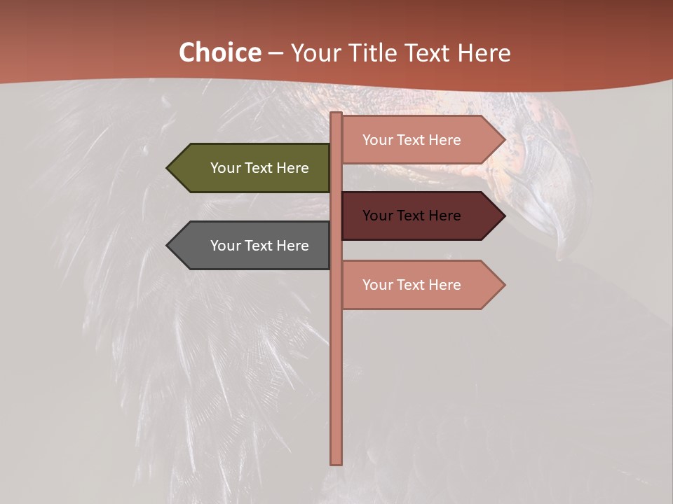 Juvenile California Condor PowerPoint Template