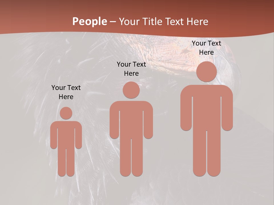 Juvenile California Condor PowerPoint Template