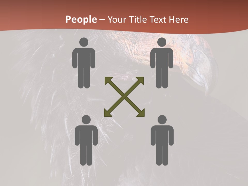 Juvenile California Condor PowerPoint Template