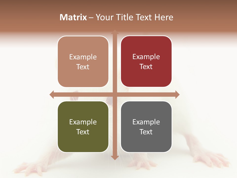 Rat PowerPoint Template