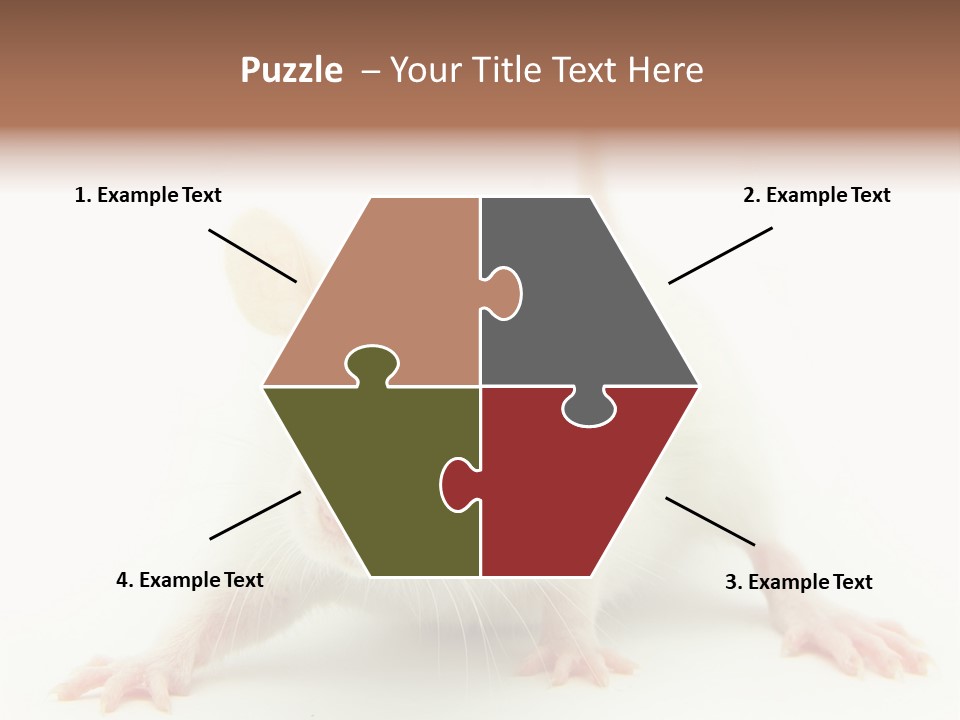 Rat PowerPoint Template