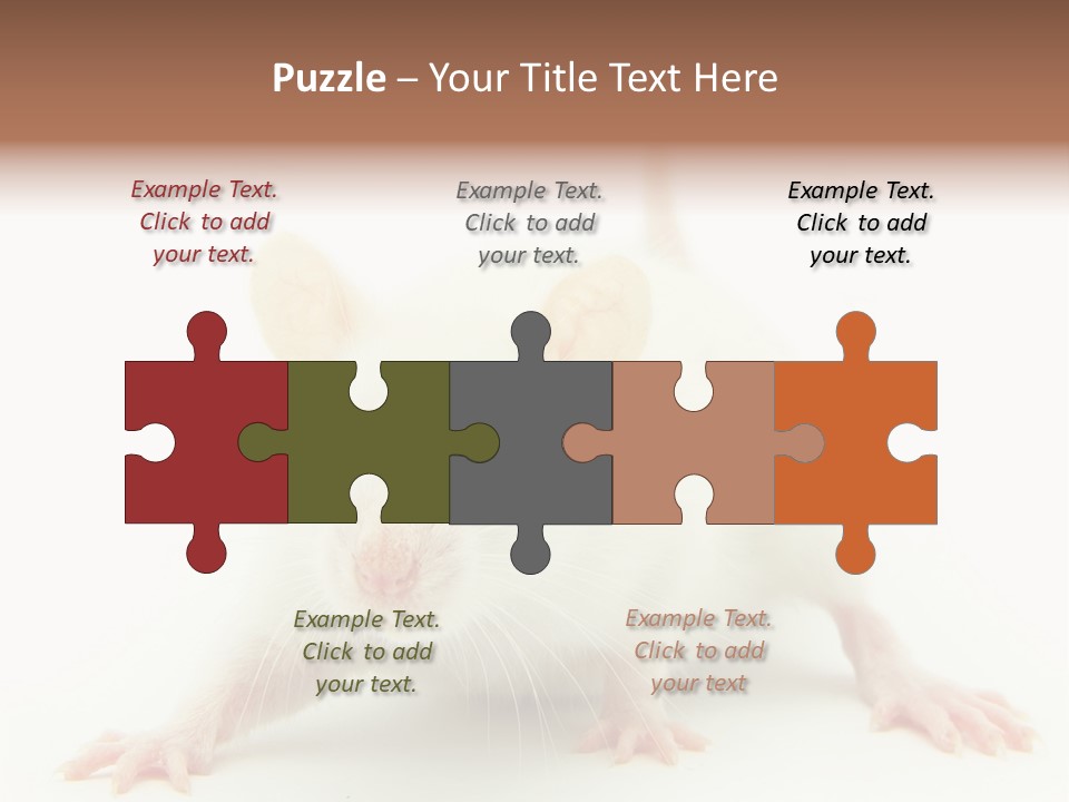 Rat PowerPoint Template