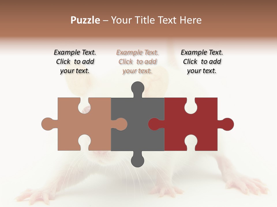 Rat PowerPoint Template