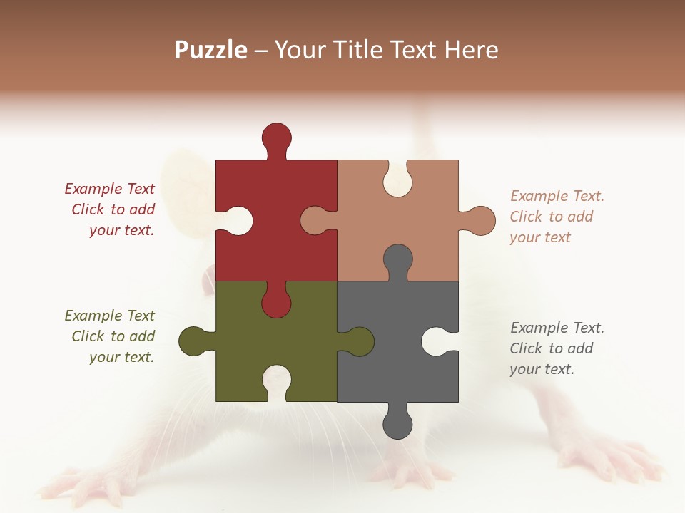 Rat PowerPoint Template