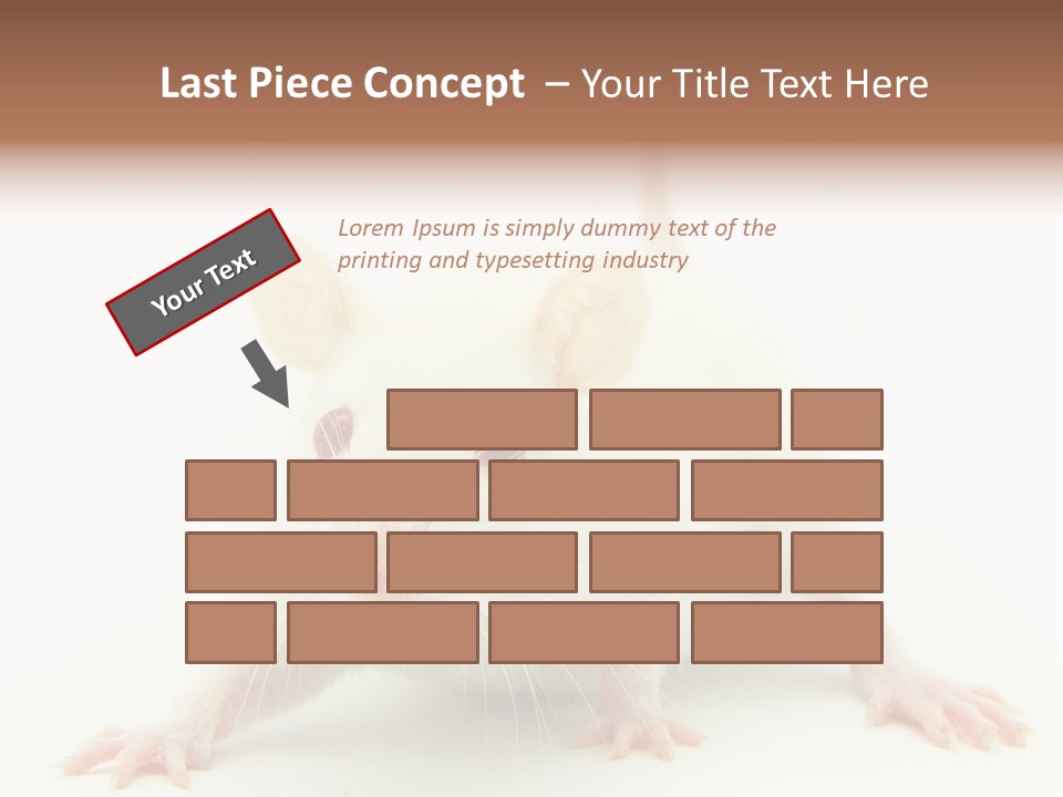 Rat PowerPoint Template