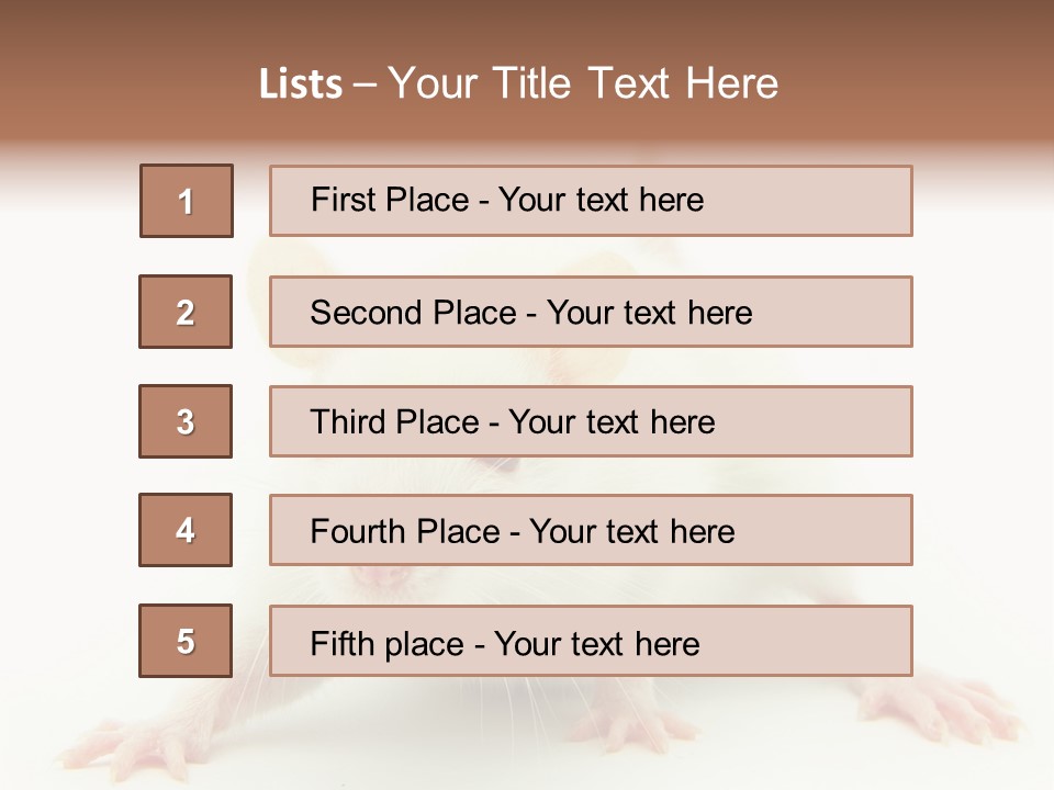 Rat PowerPoint Template