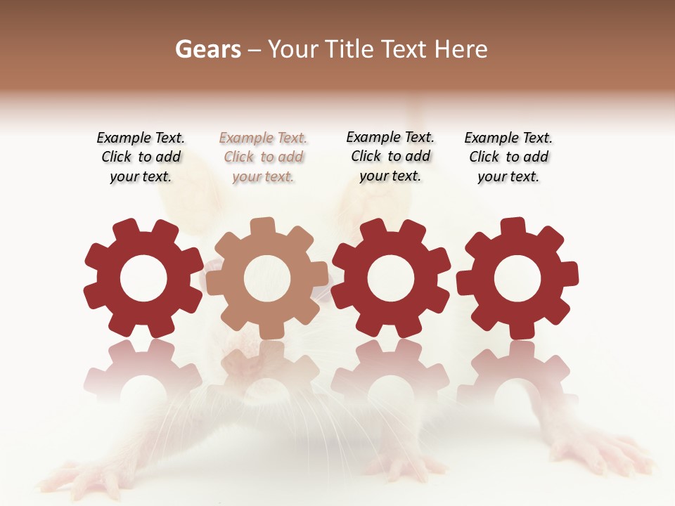 Rat PowerPoint Template