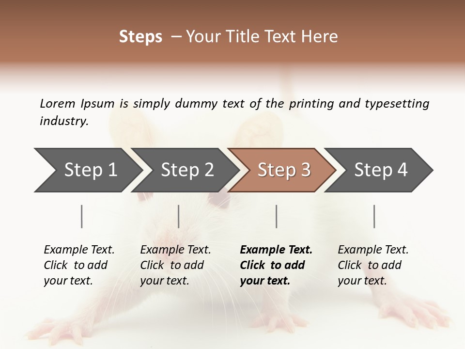 Rat PowerPoint Template