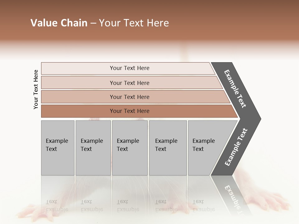 Rat PowerPoint Template