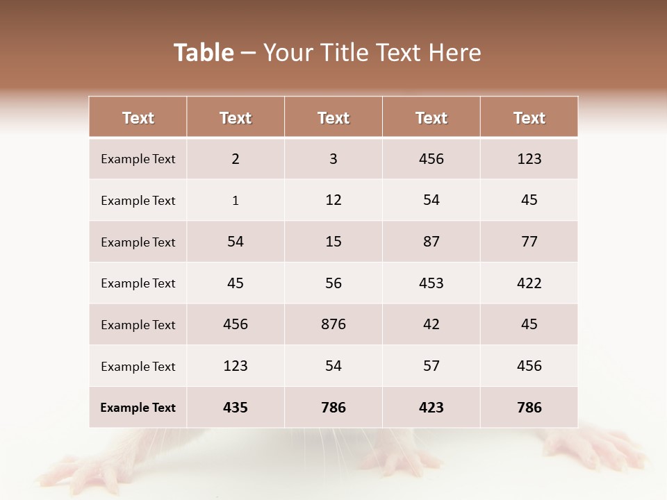 Rat PowerPoint Template