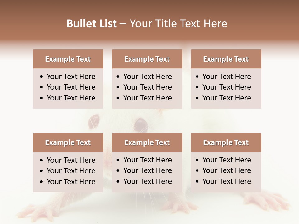 Rat PowerPoint Template