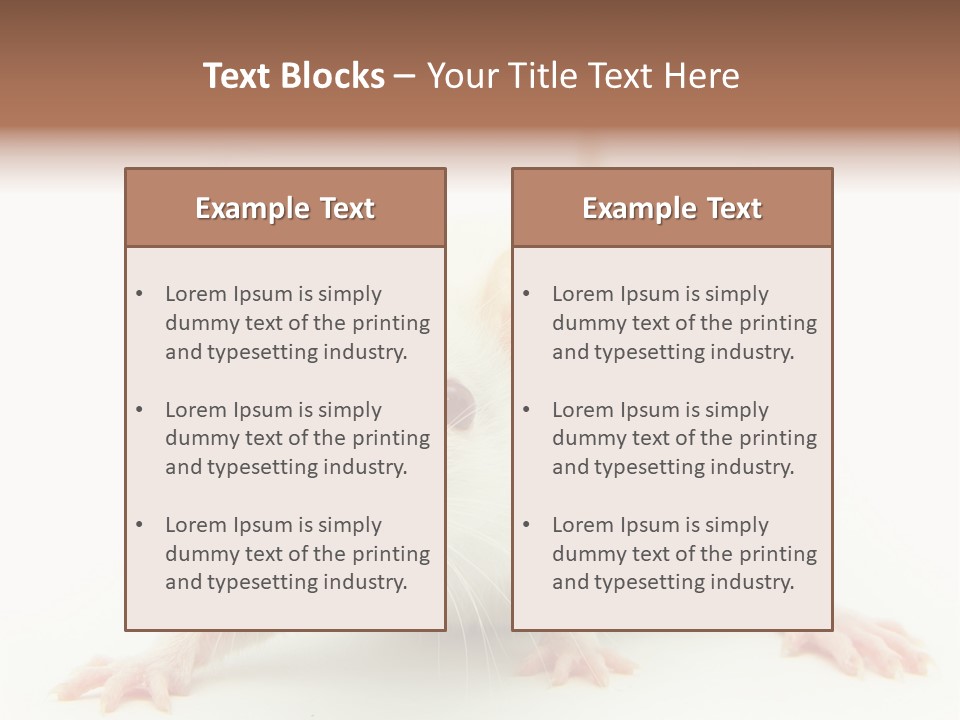 Rat PowerPoint Template