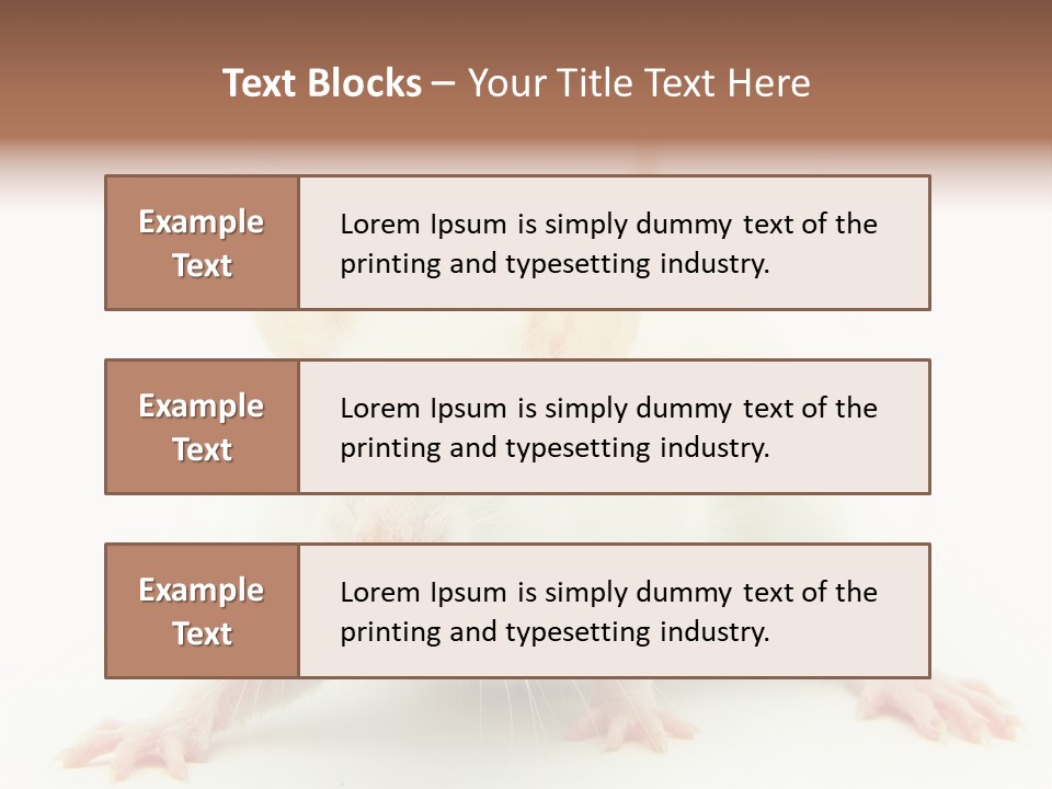 Rat PowerPoint Template
