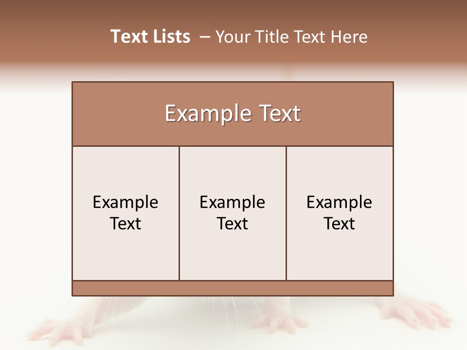 Rat PowerPoint Template