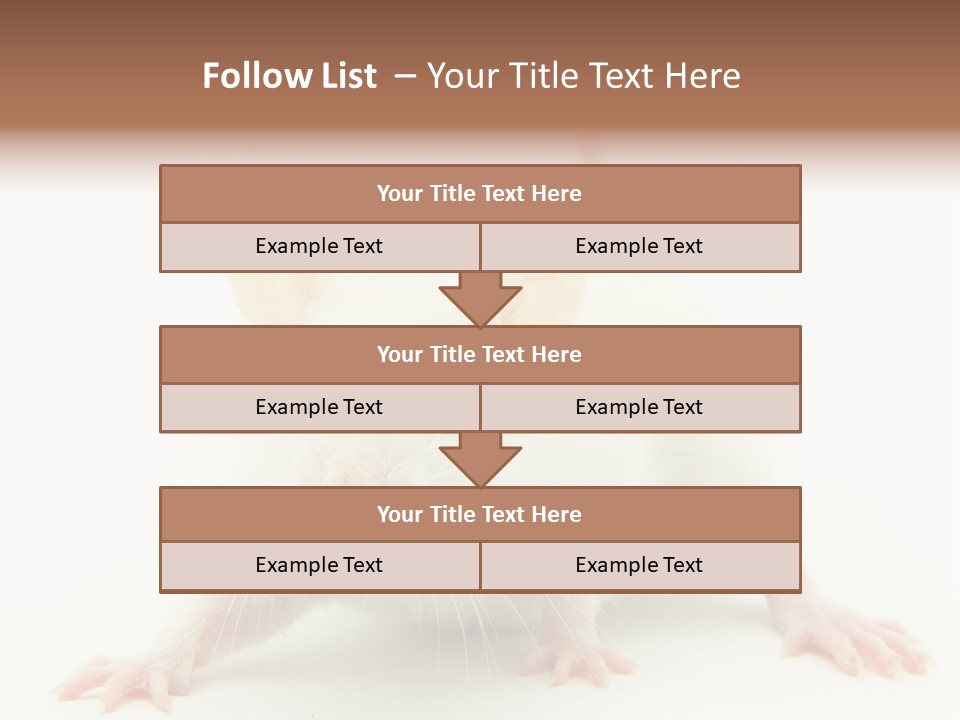 Rat PowerPoint Template