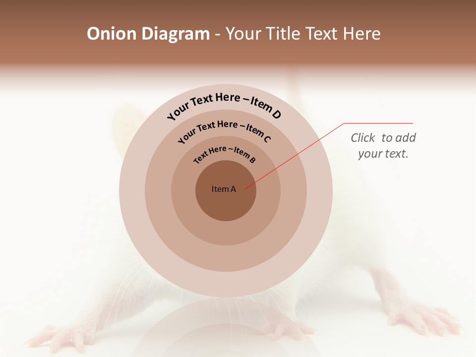 Rat PowerPoint Template