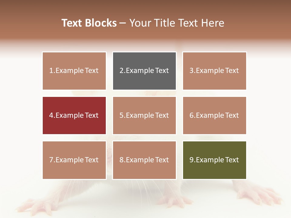 Rat PowerPoint Template