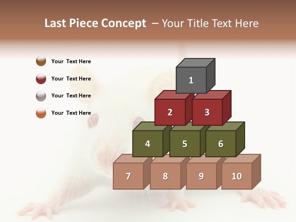 Rat PowerPoint Template