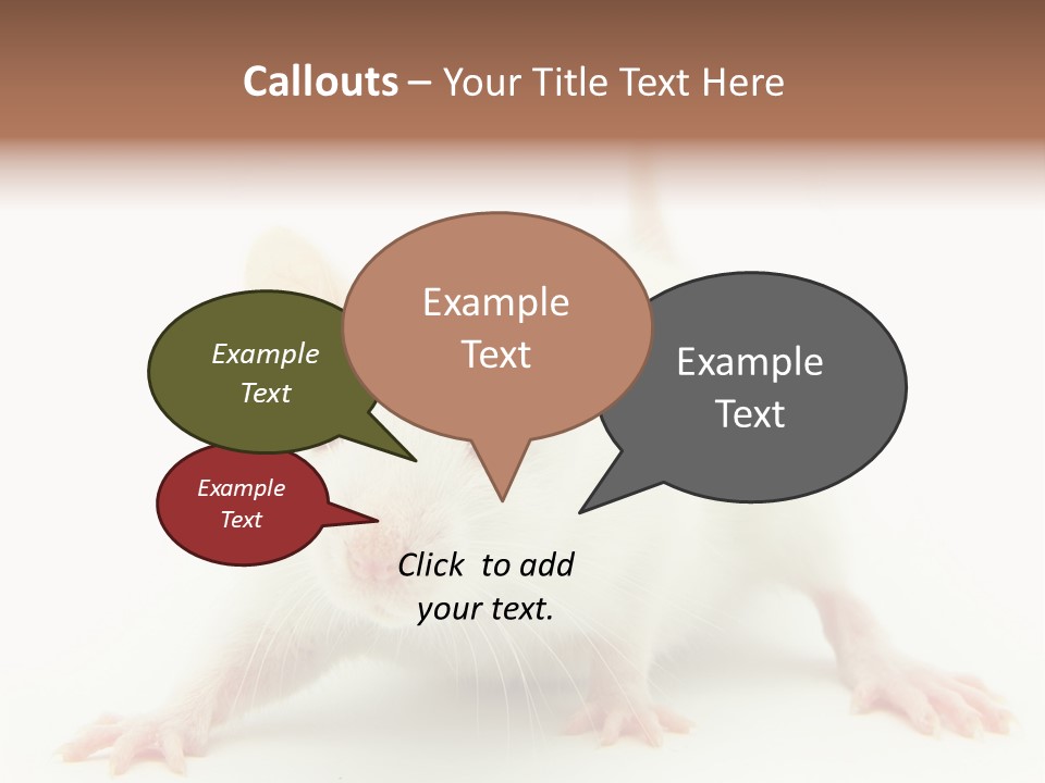 Rat PowerPoint Template