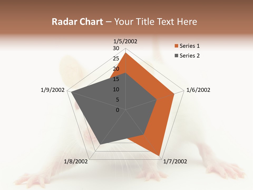 Rat PowerPoint Template