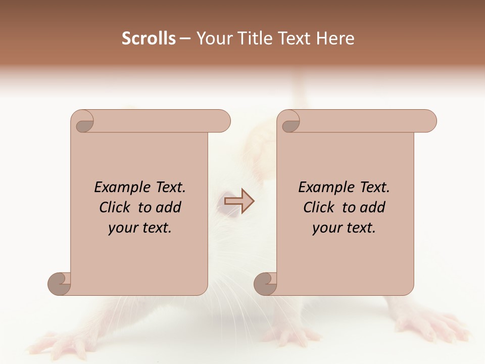 Rat PowerPoint Template