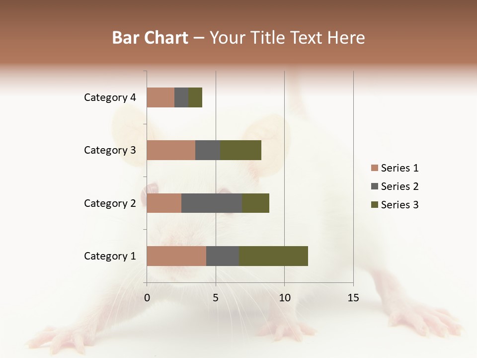 Rat PowerPoint Template