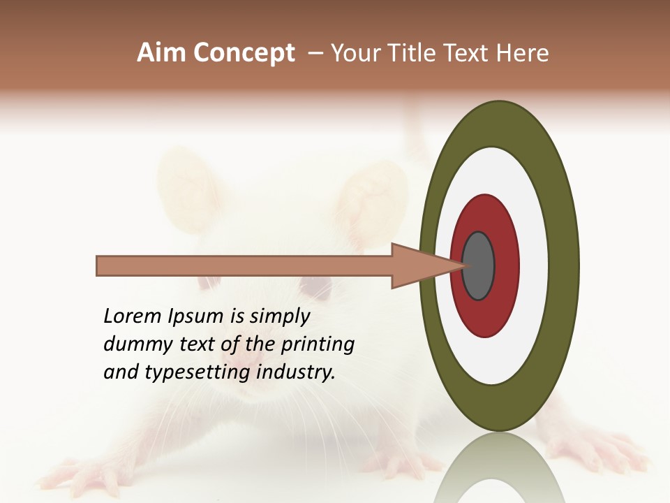 Rat PowerPoint Template