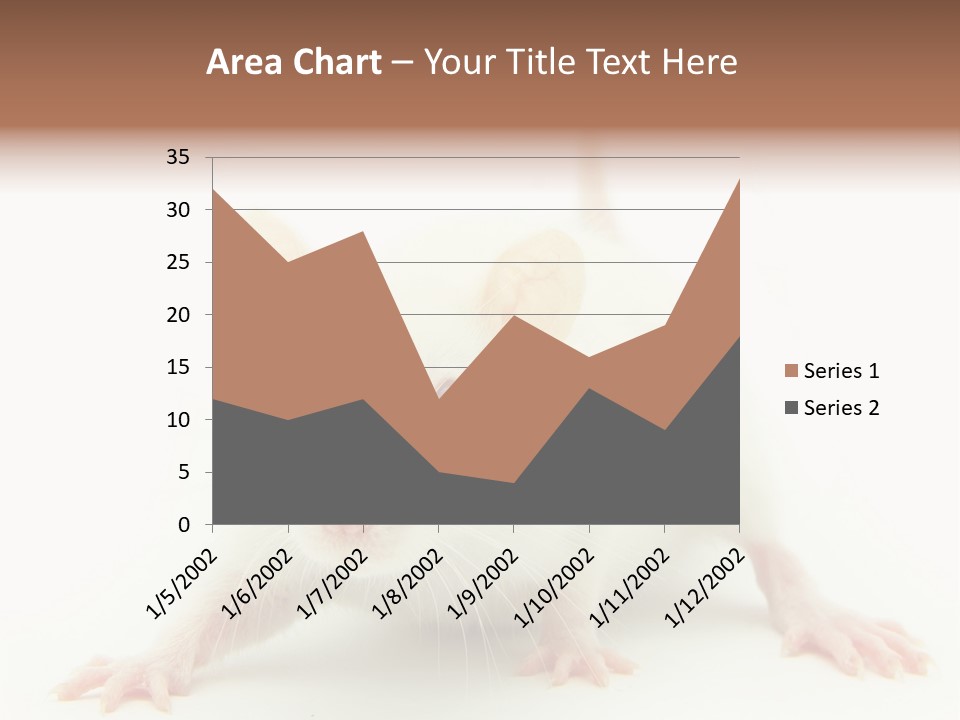 Rat PowerPoint Template