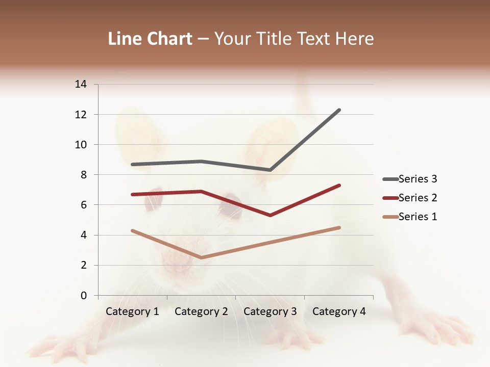 Rat PowerPoint Template