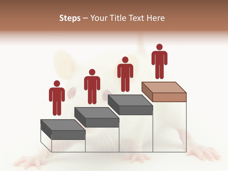 Rat PowerPoint Template