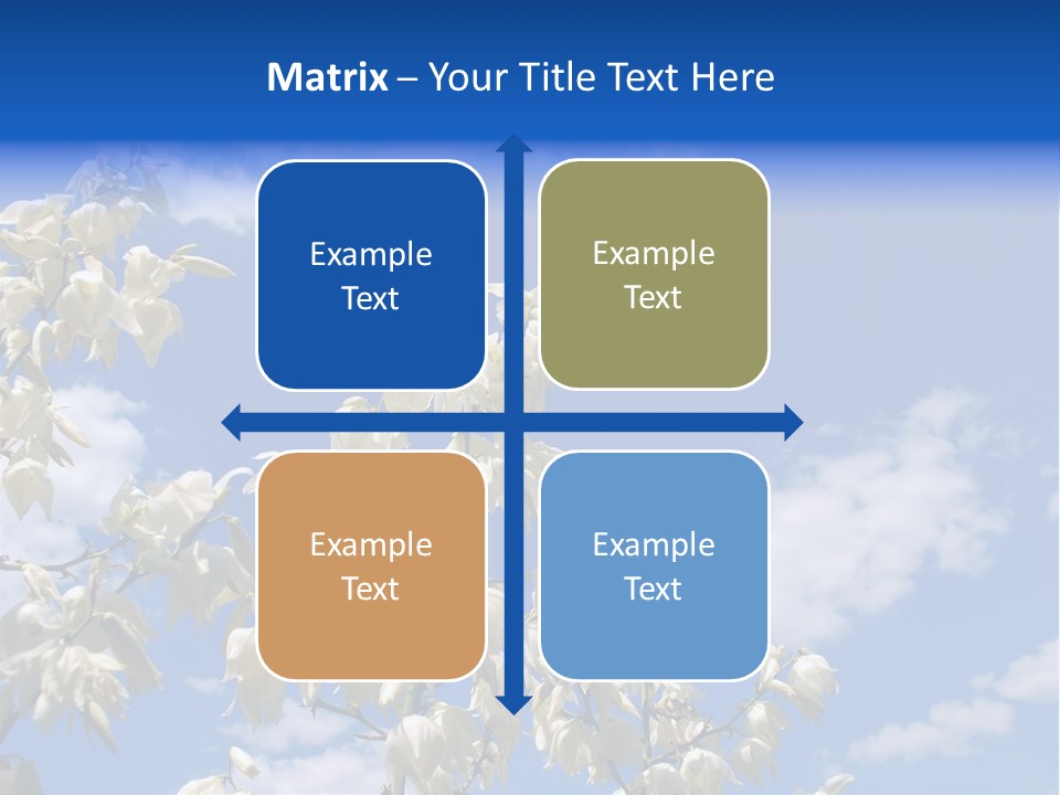 Beautiful Flower Yucca. Closeup PowerPoint Template