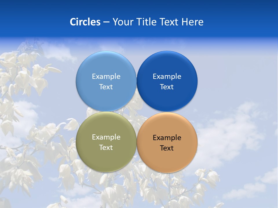 Beautiful Flower Yucca. Closeup PowerPoint Template