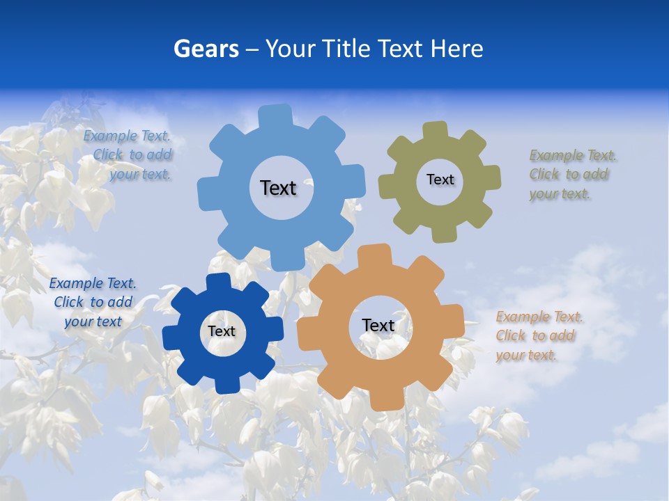 Beautiful Flower Yucca. Closeup PowerPoint Template