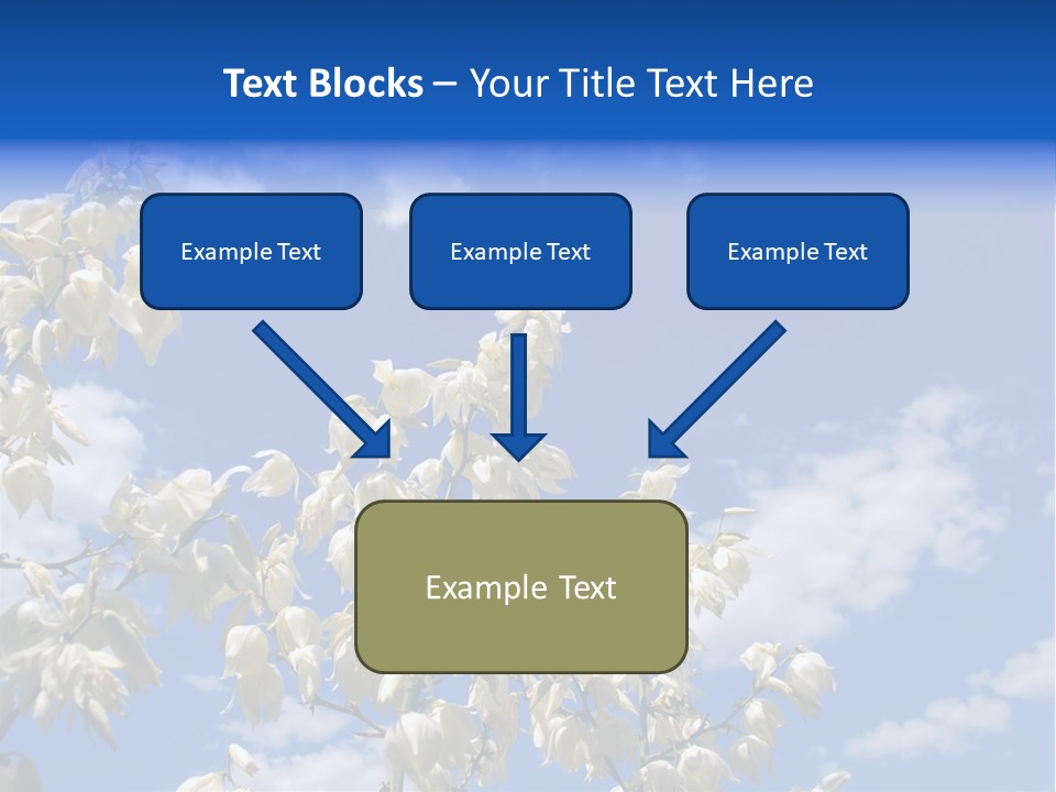 Beautiful Flower Yucca. Closeup PowerPoint Template