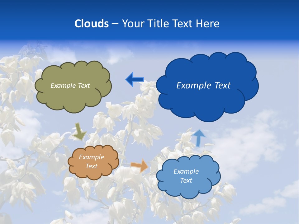 Beautiful Flower Yucca. Closeup PowerPoint Template