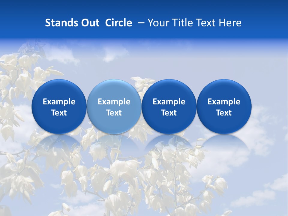 Beautiful Flower Yucca. Closeup PowerPoint Template