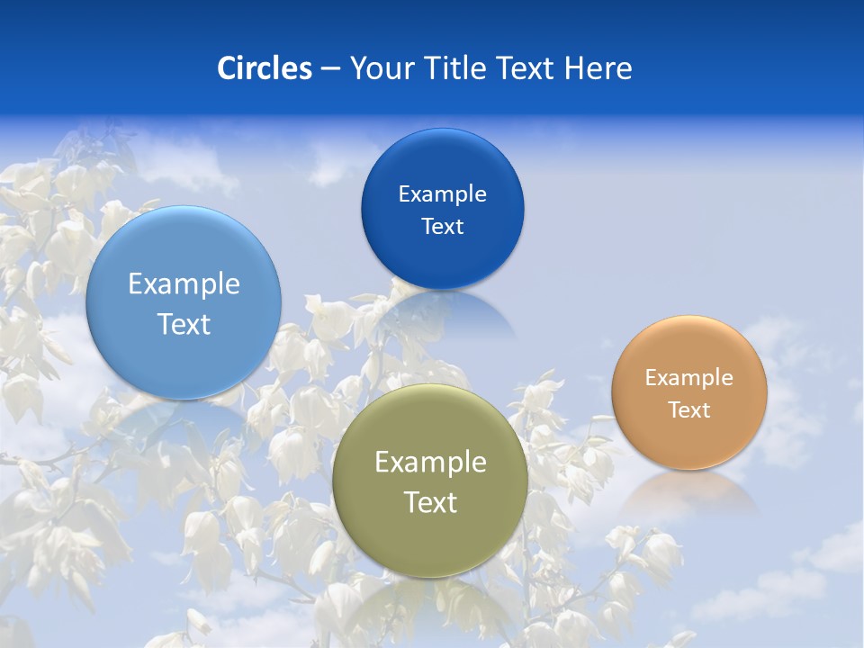 Beautiful Flower Yucca. Closeup PowerPoint Template