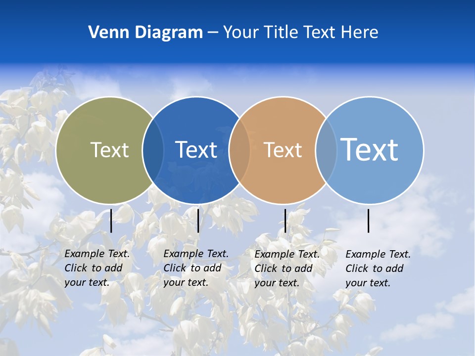 Beautiful Flower Yucca. Closeup PowerPoint Template