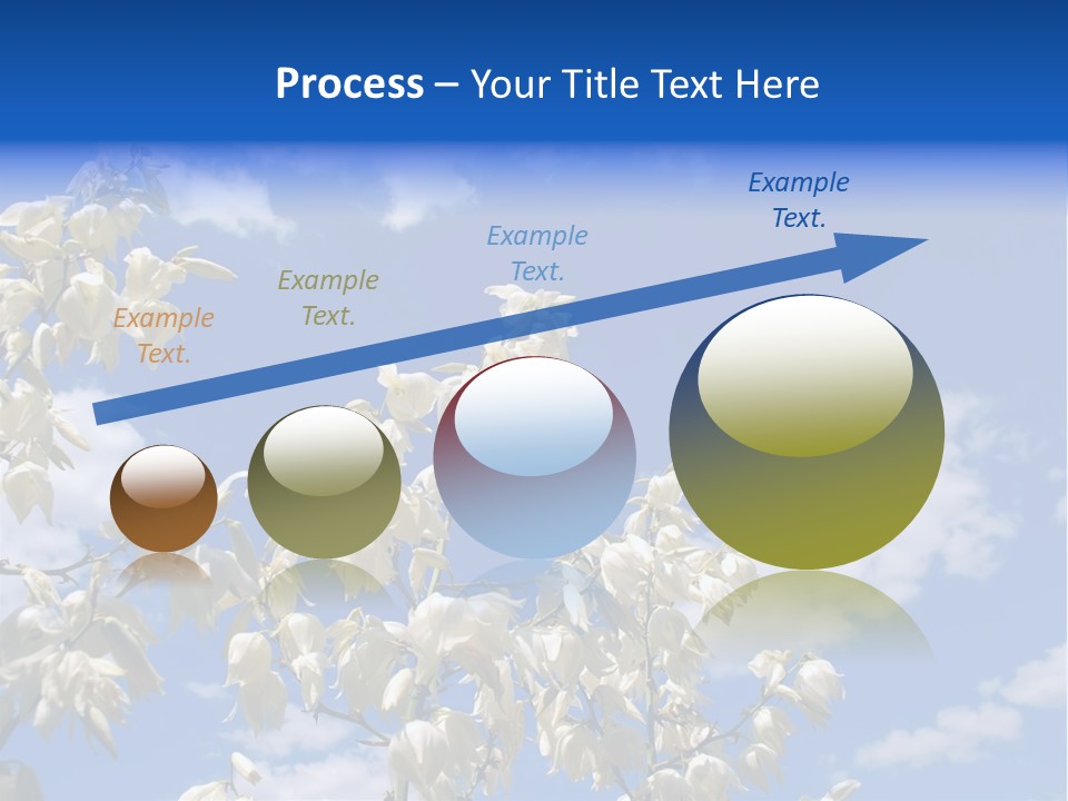 Beautiful Flower Yucca. Closeup PowerPoint Template