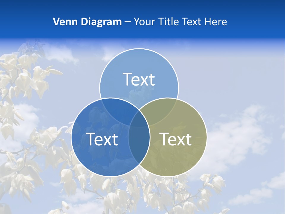 Beautiful Flower Yucca. Closeup PowerPoint Template